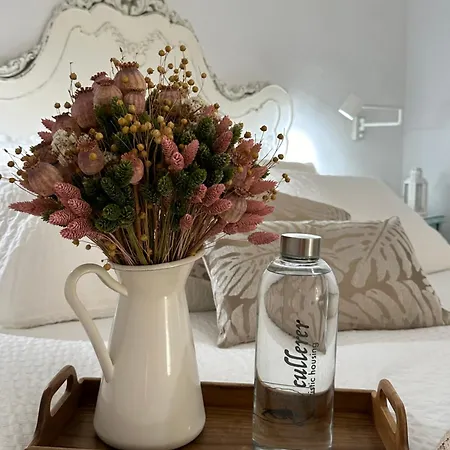 Apartament Casa Cullerer Amposta Zewnętrze zdjęcie